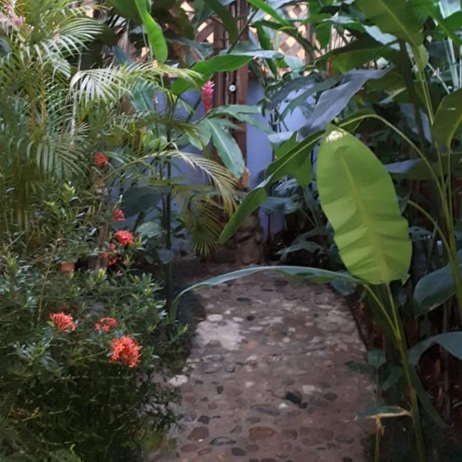 אובטובה Suites&Chales Madalenas Itamambuca מראה חיצוני תמונה